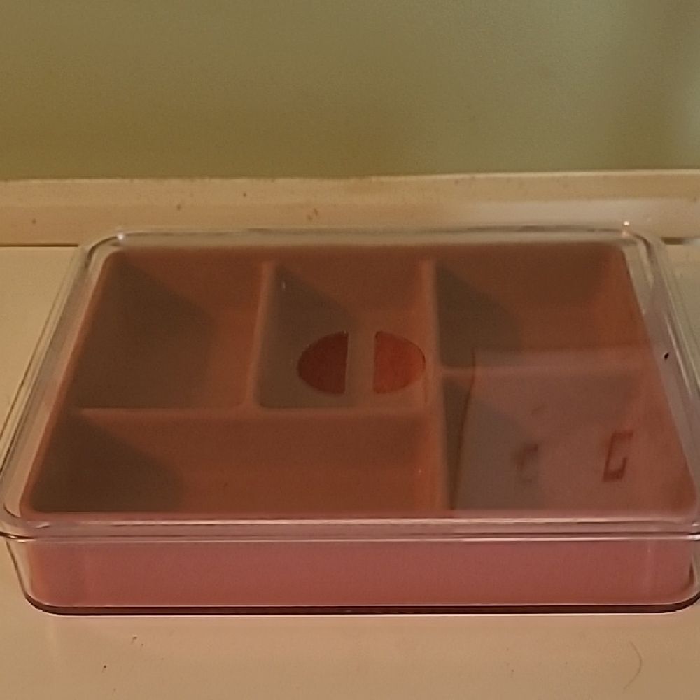 Clear and Pink Divided Storage Box